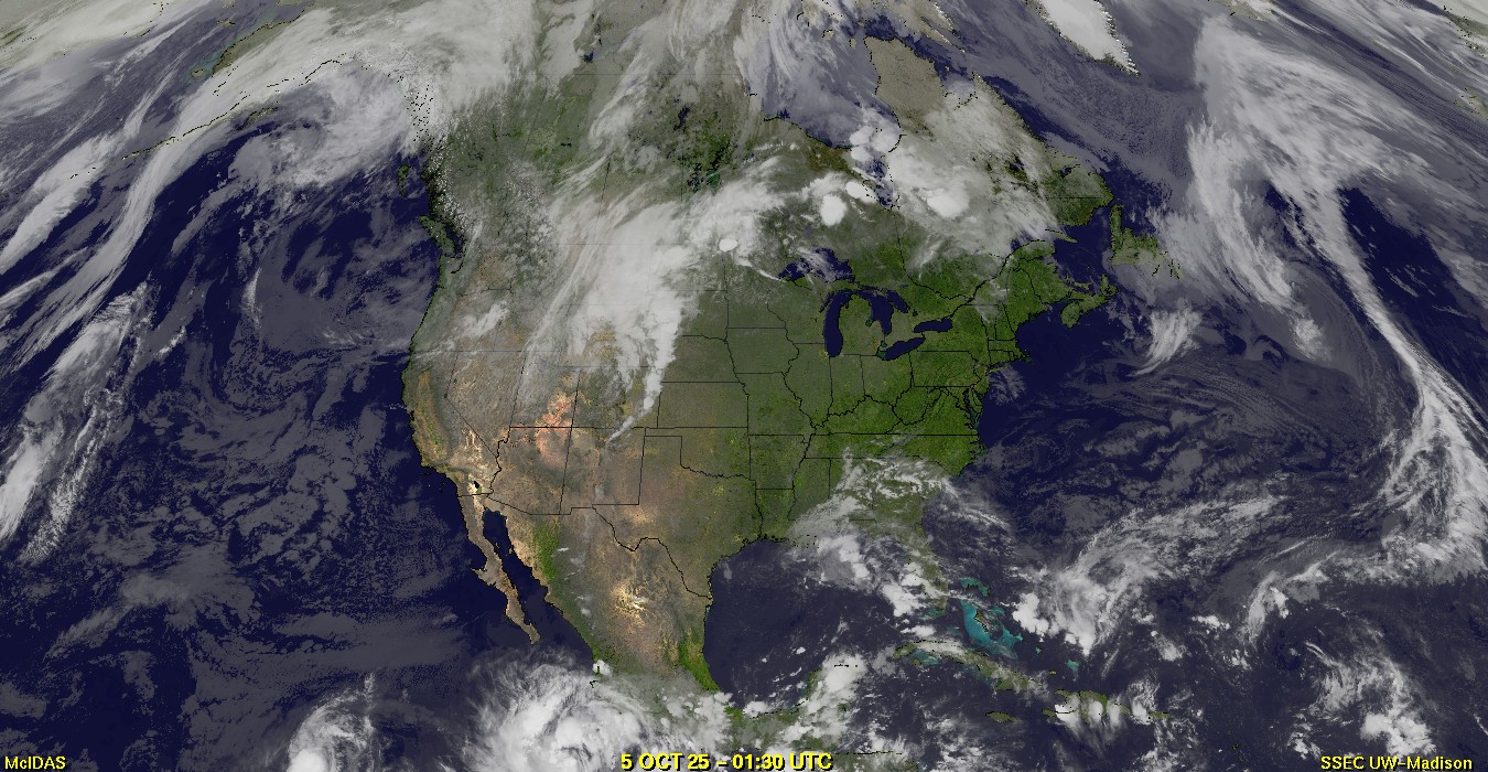 Live Satellite
