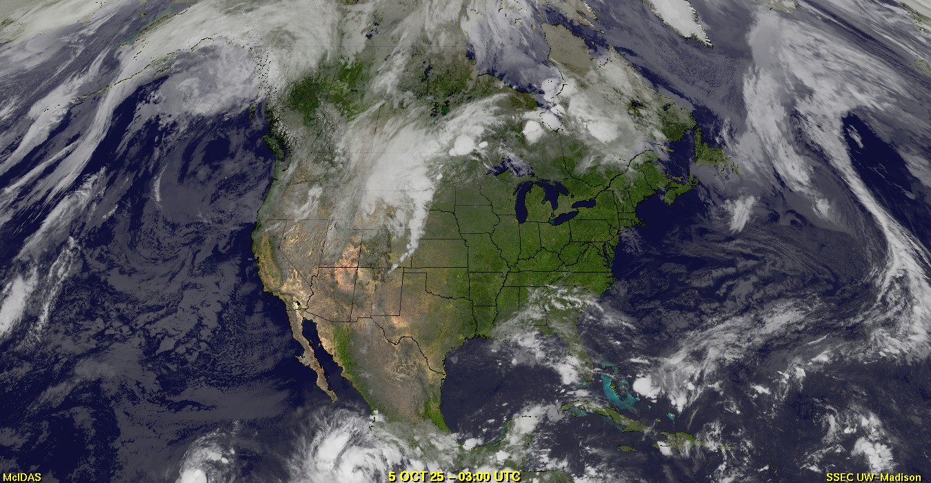 Live Satellite