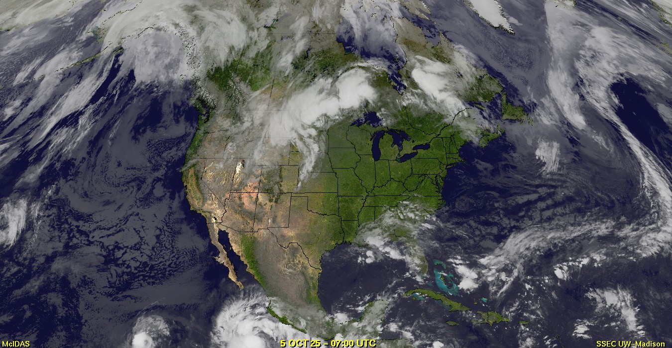 Live Satellite