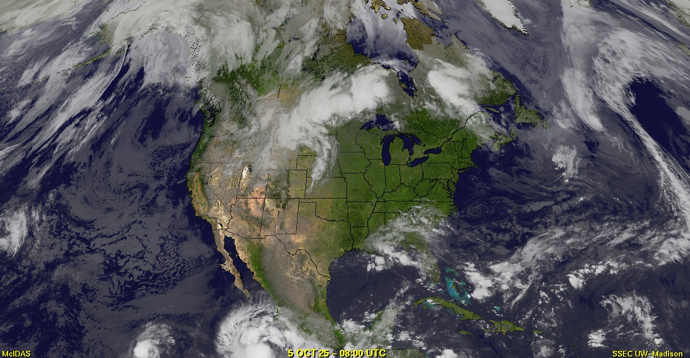 Live Satellite