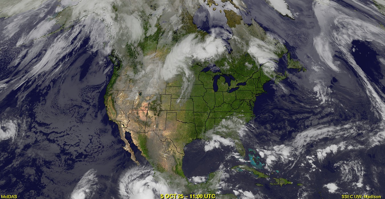 Live Satellite