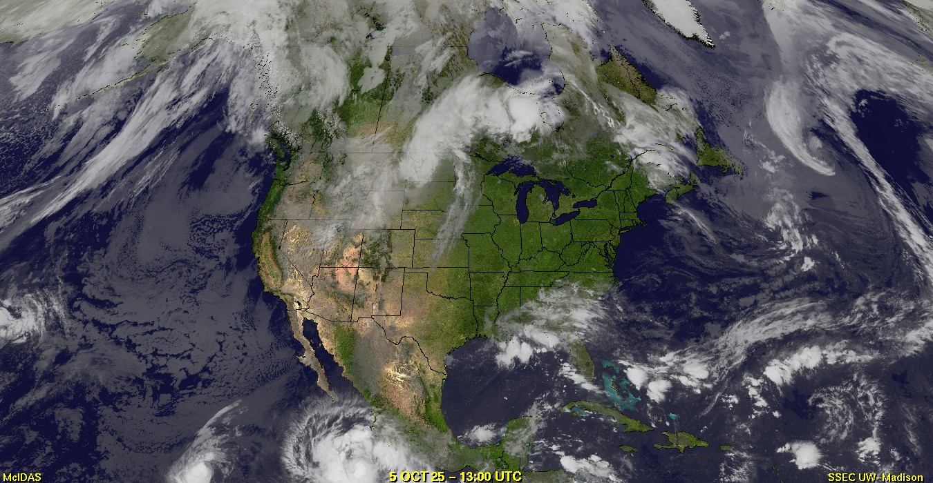 Live Satellite