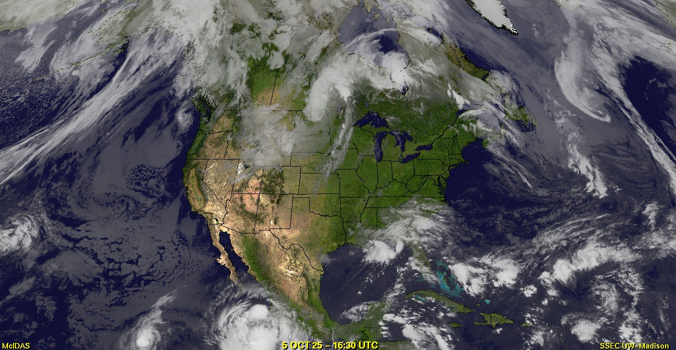 Live Satellite