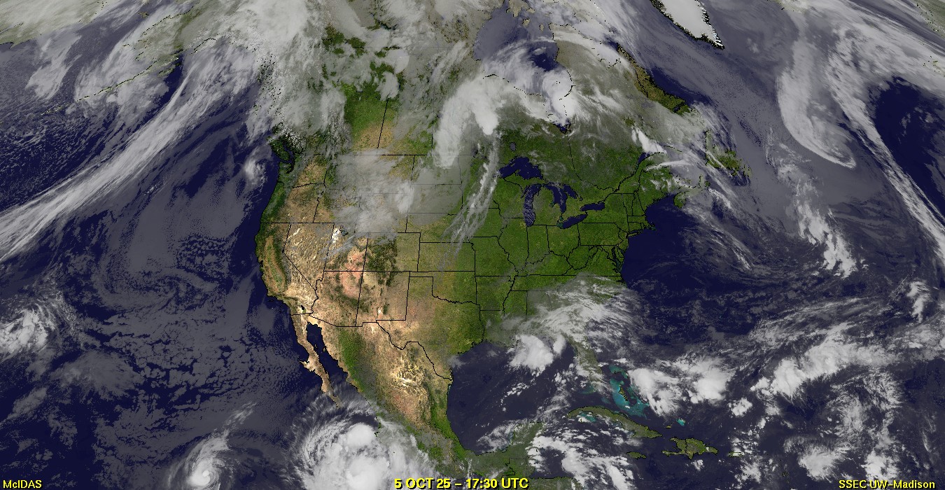 Live Satellite