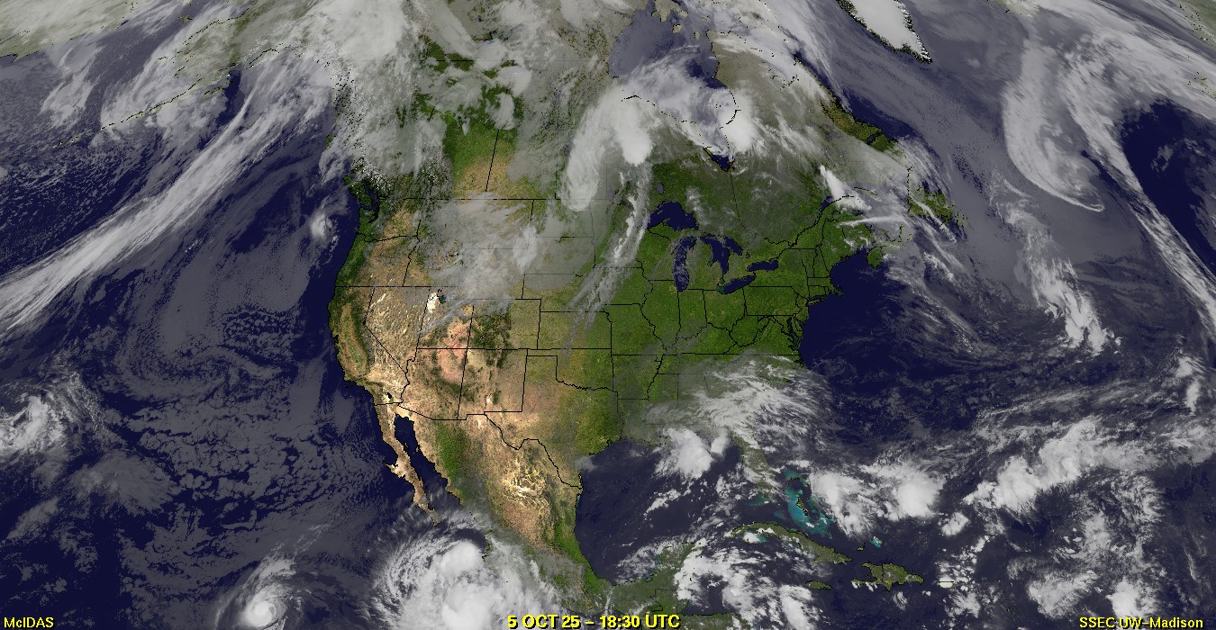 Live Satellite