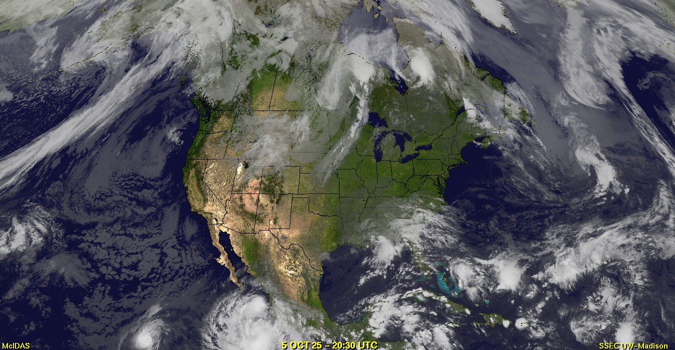 Live Satellite