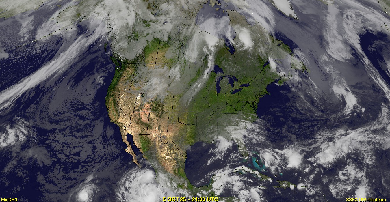 Live Satellite