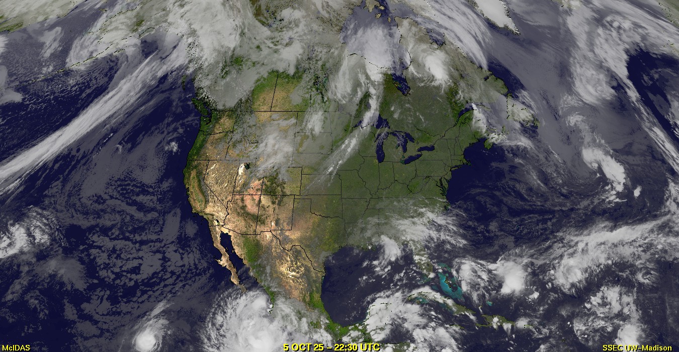 Live Satellite