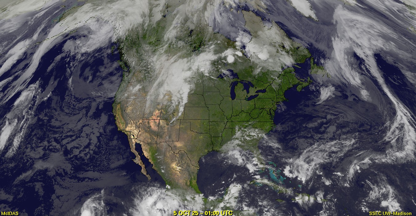 Live Satellite