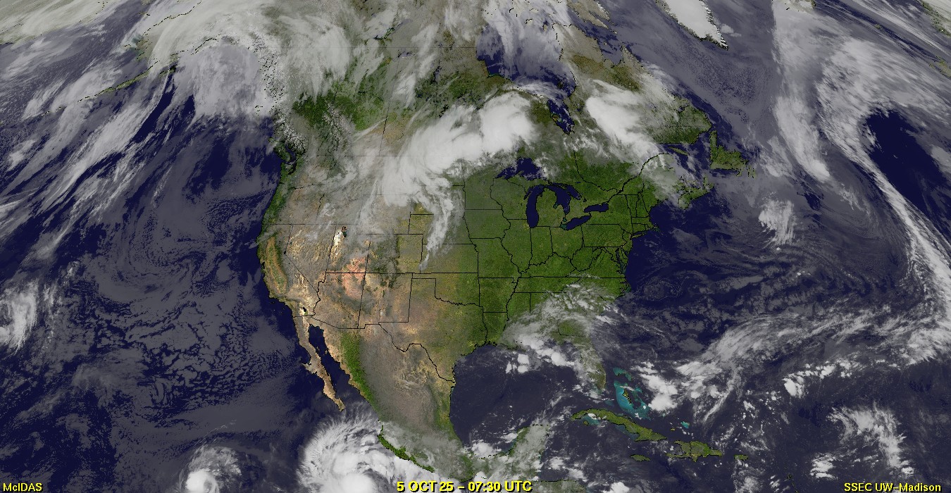 Live Satellite