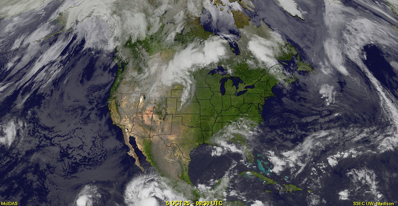 Live Satellite