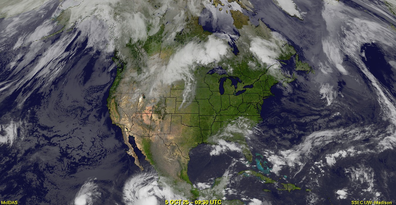 Live Satellite