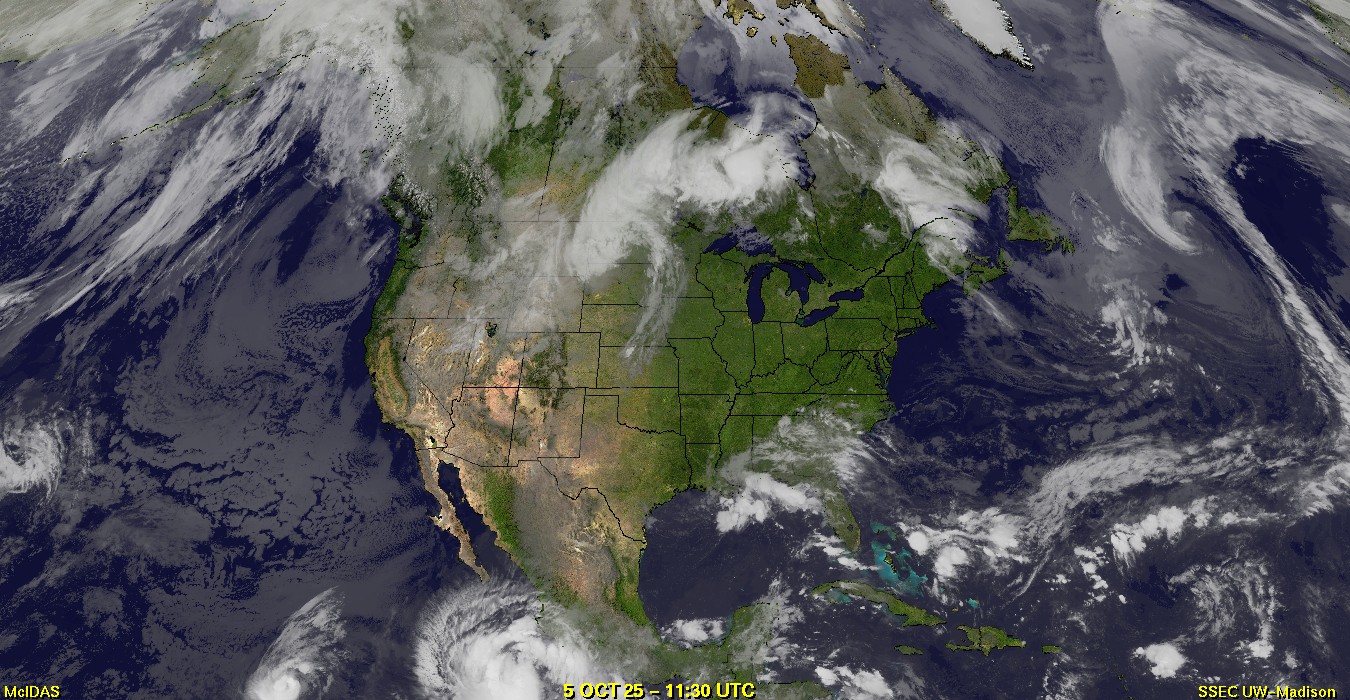 Live Satellite