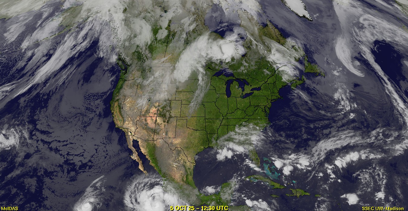 Live Satellite