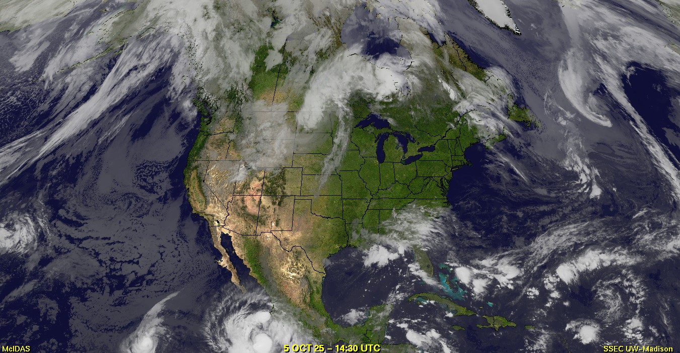 Live Satellite