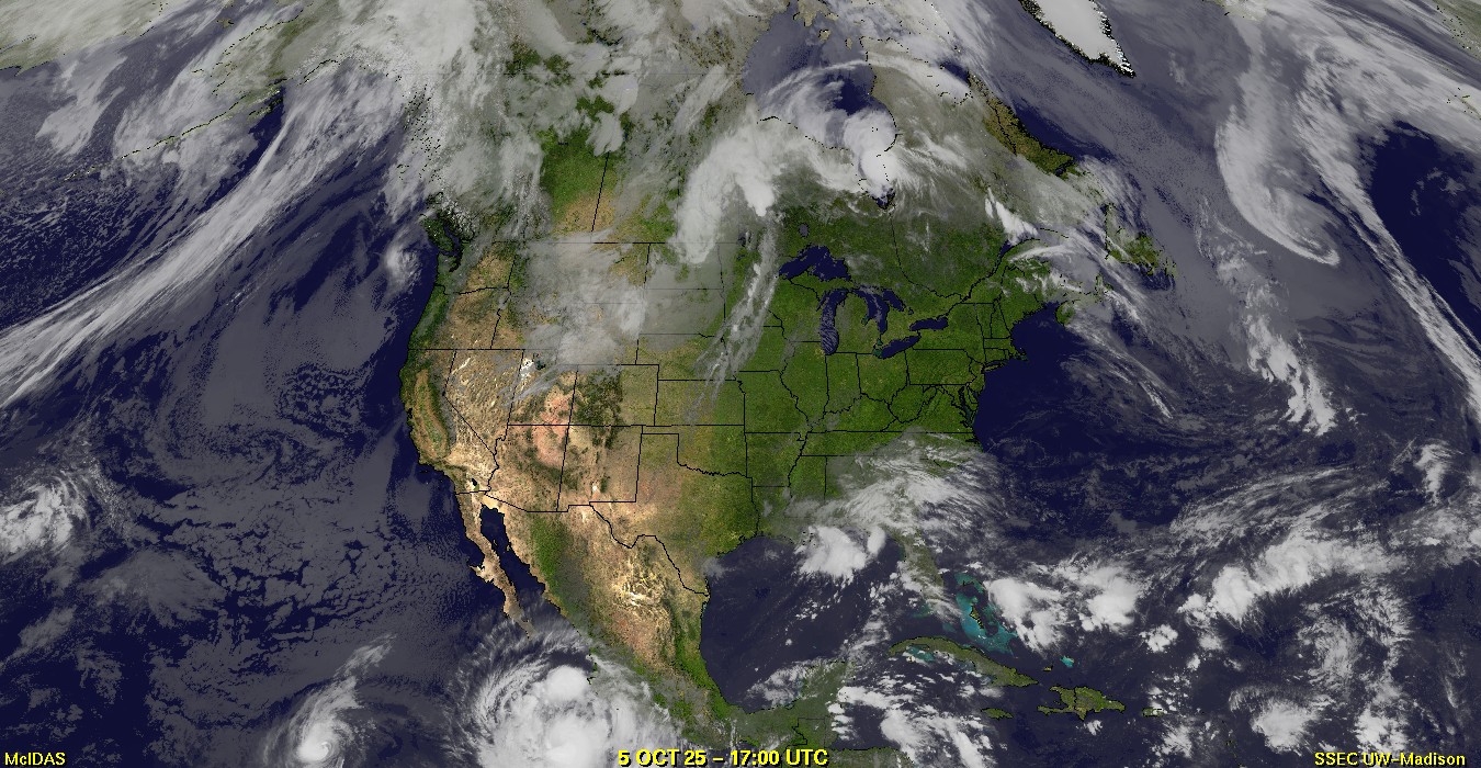 Live Satellite