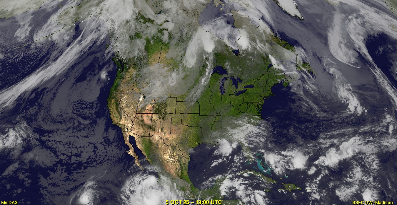 Live Satellite