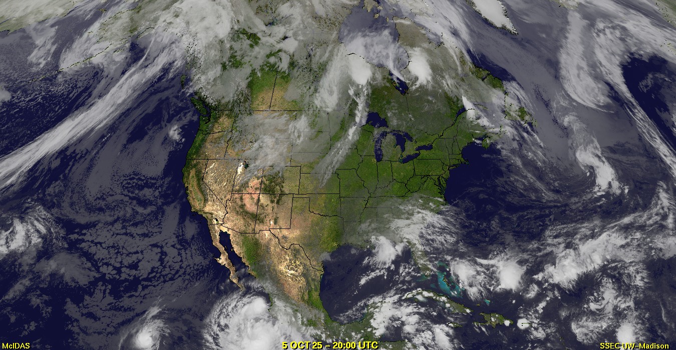 Live Satellite