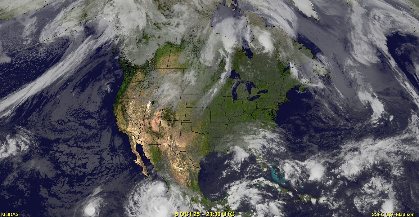 Live Satellite