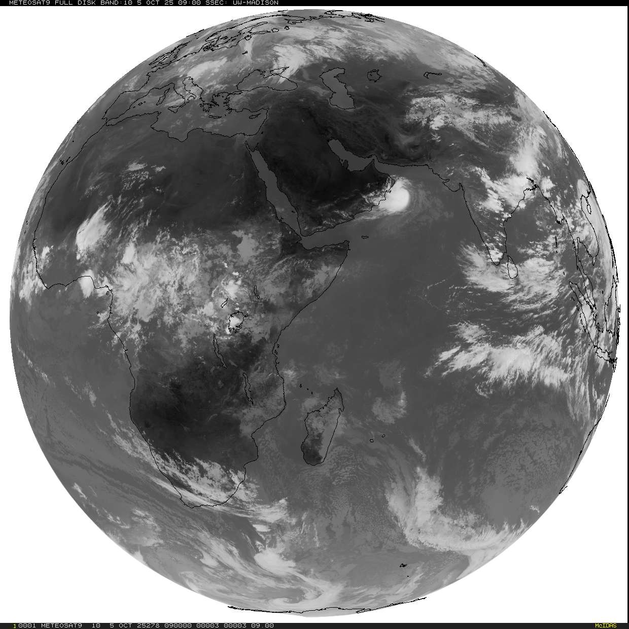 Live Satellite