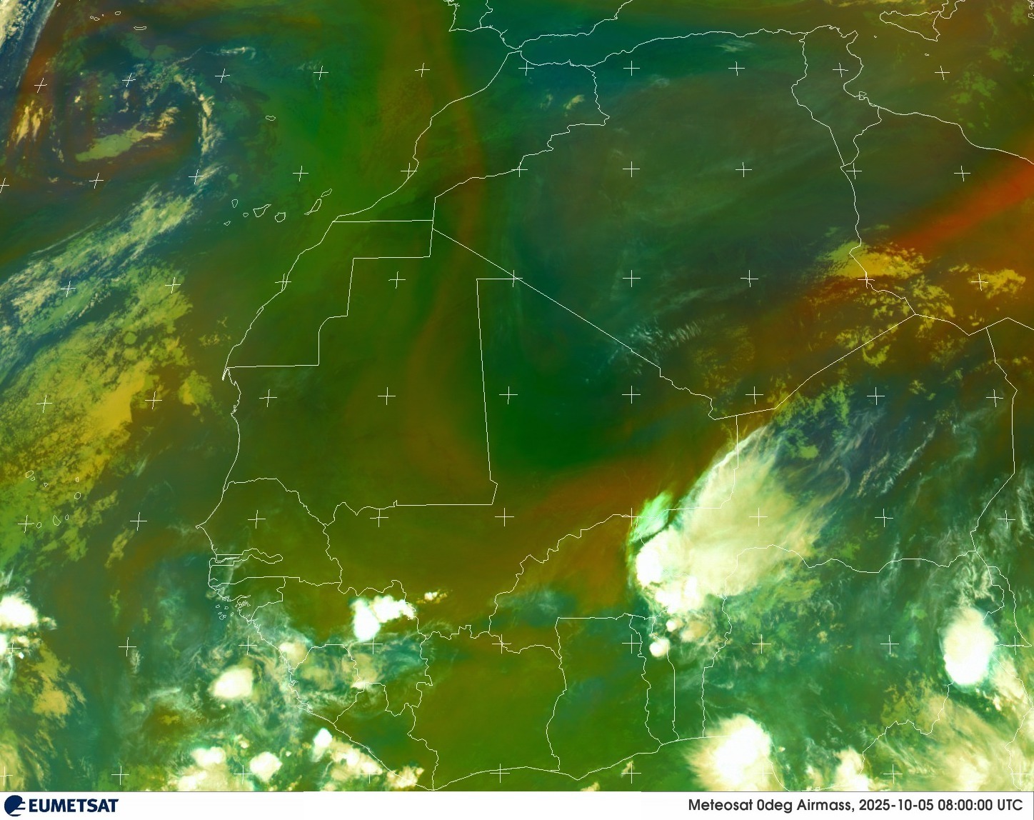 Live Satellite