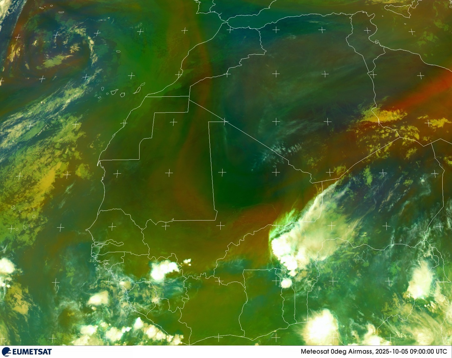 Live Satellite