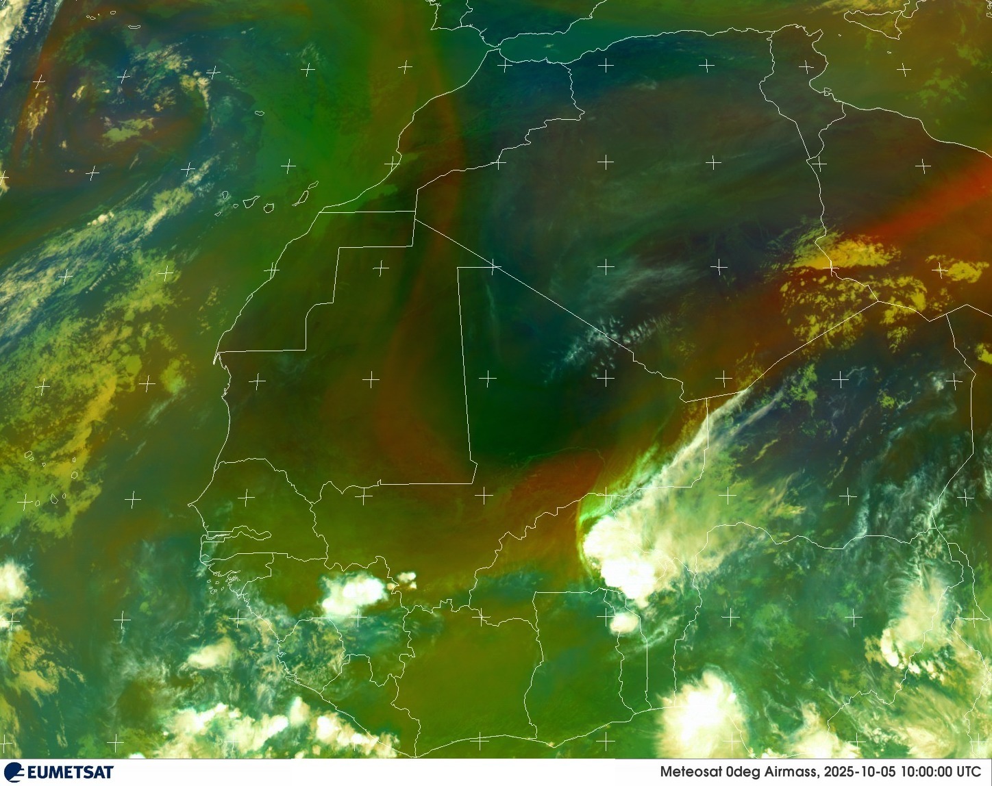 Live Satellite