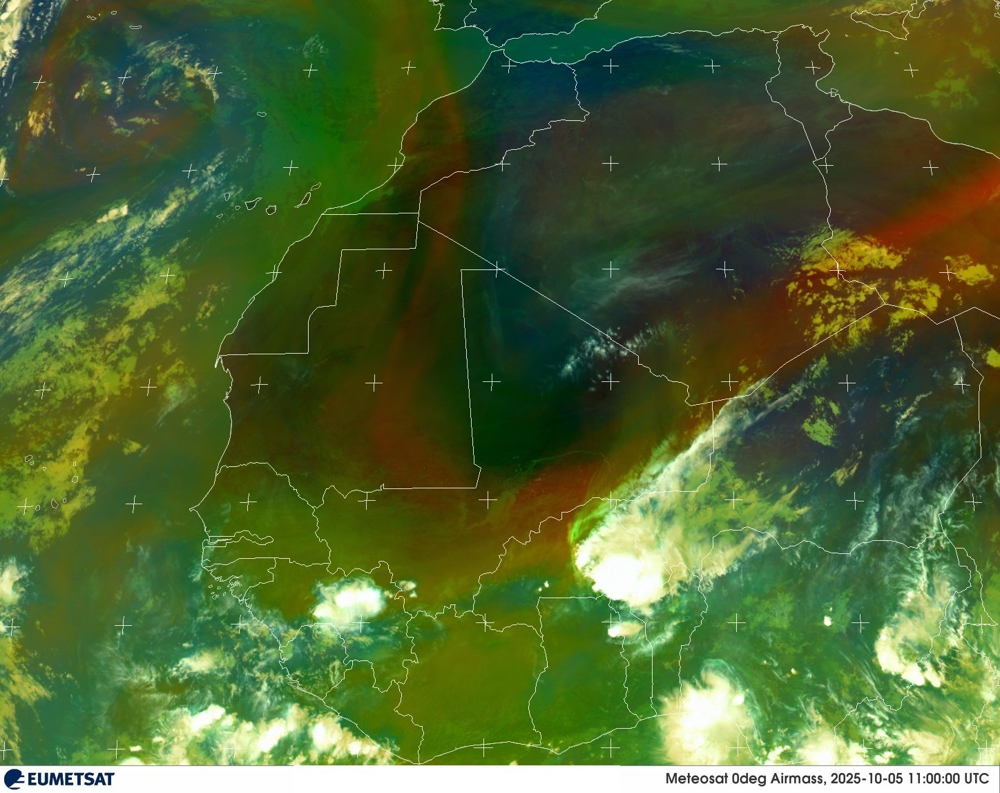 Live Satellite