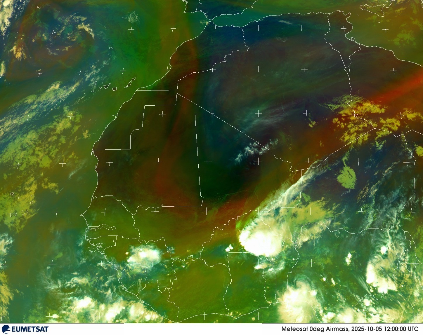 Live Satellite