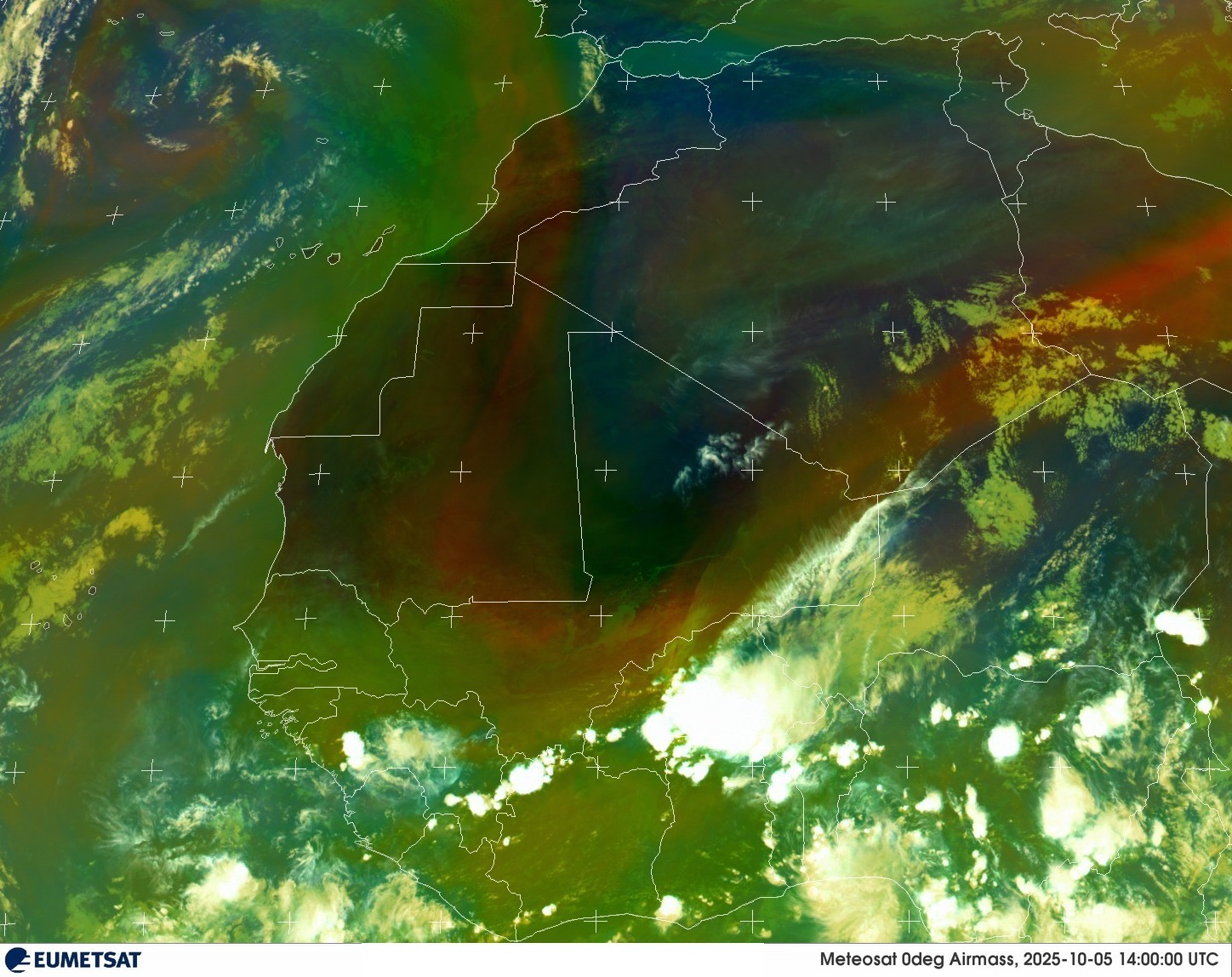 Live Satellite