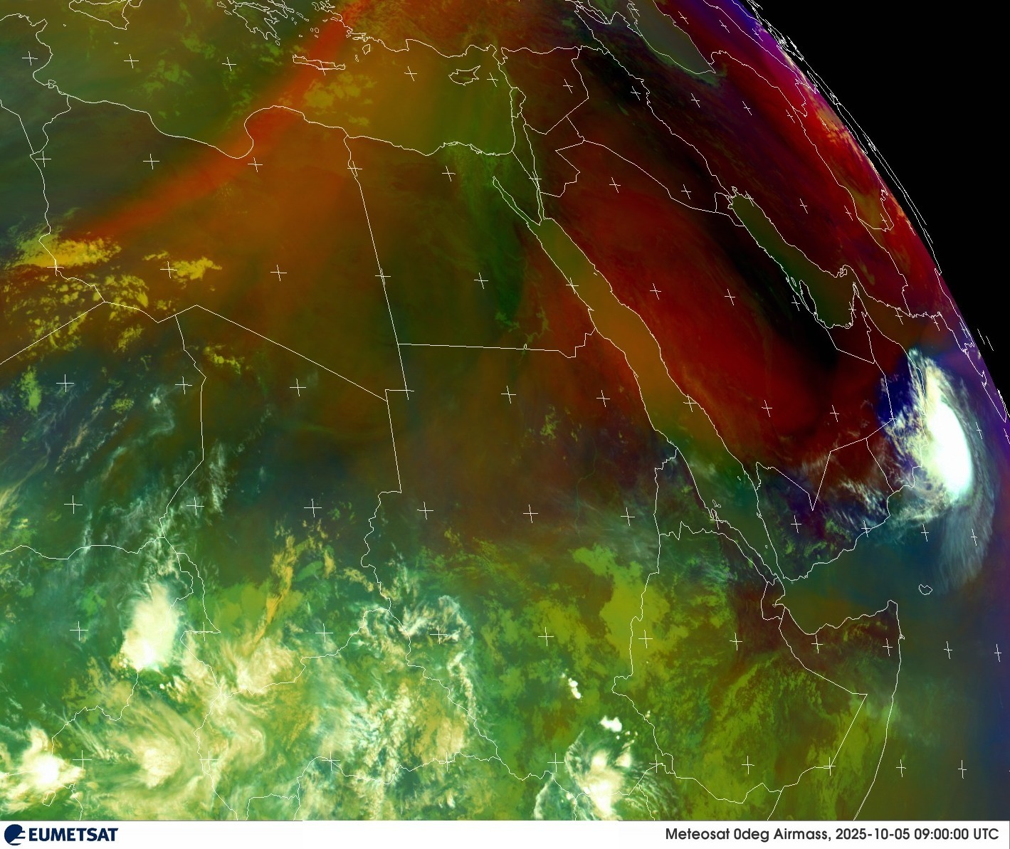 Live Satellite