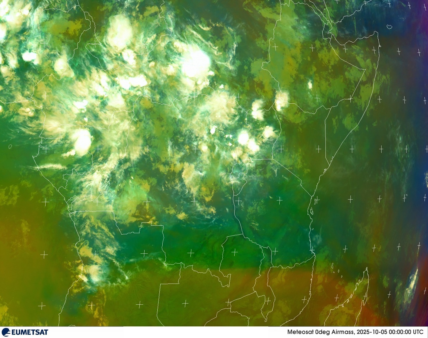 Live Satellite