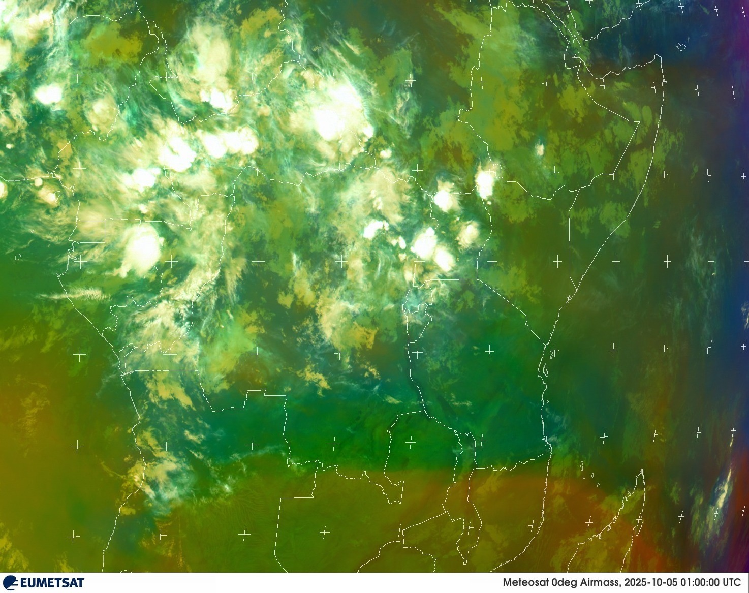 Live Satellite
