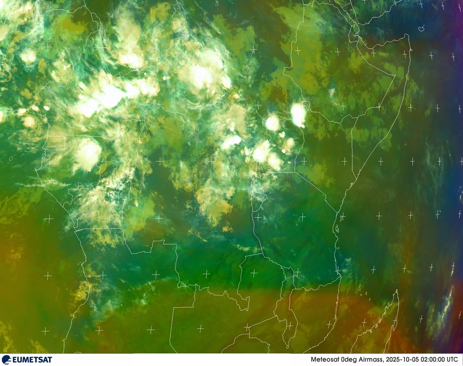 Live Satellite