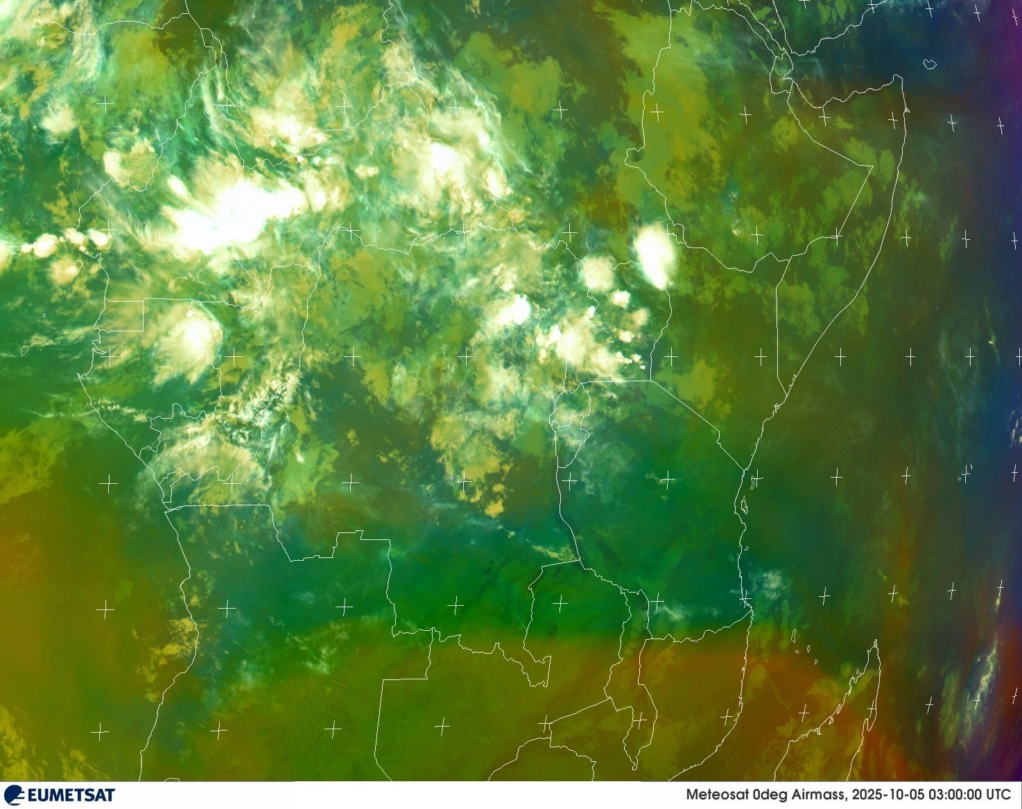 Live Satellite