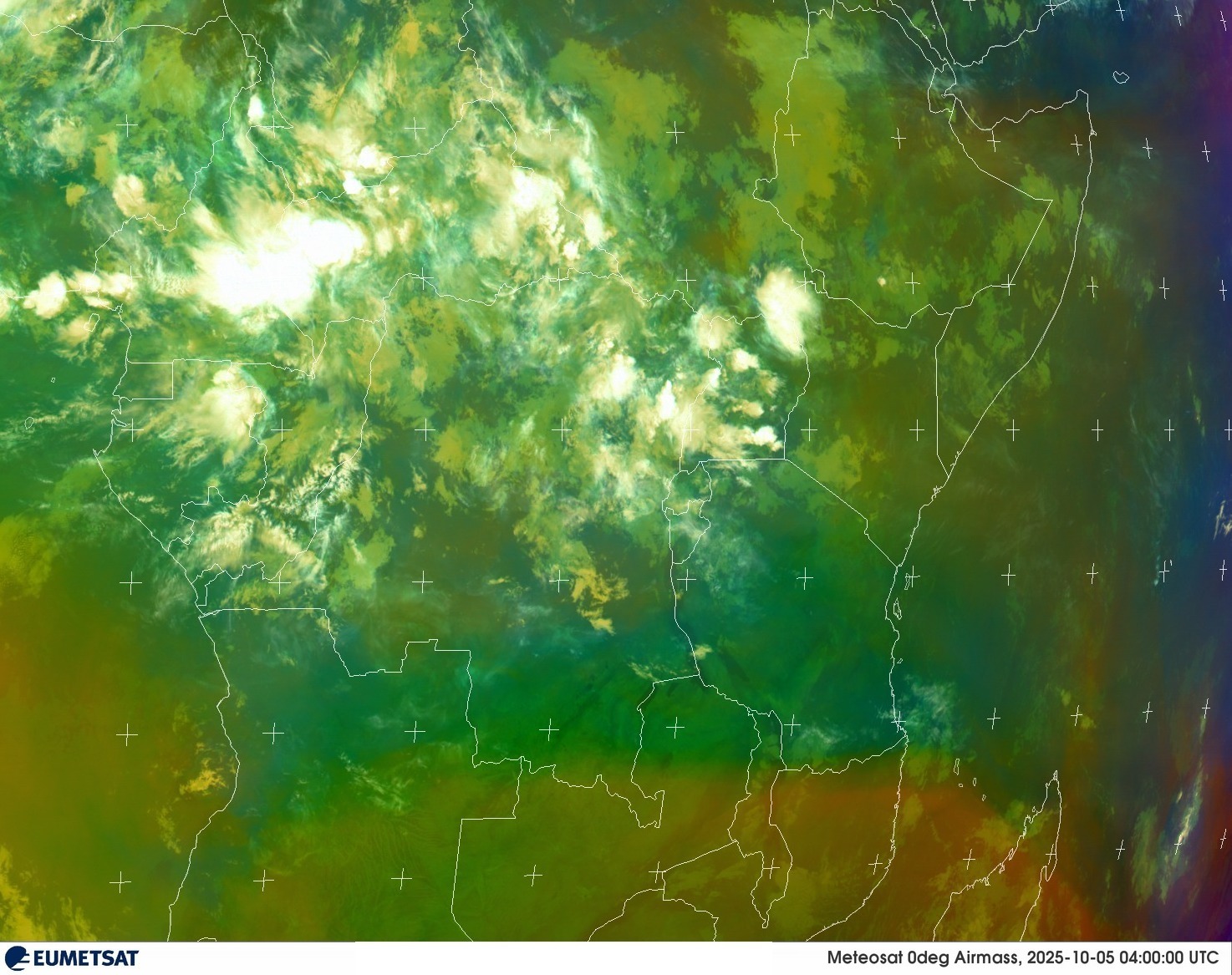 Live Satellite