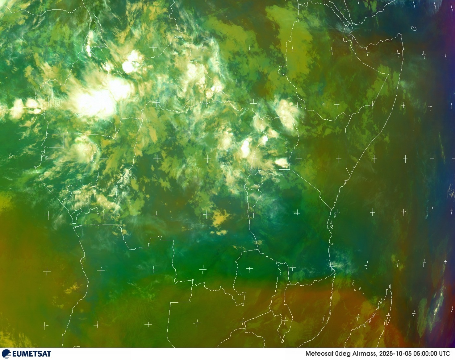 Live Satellite
