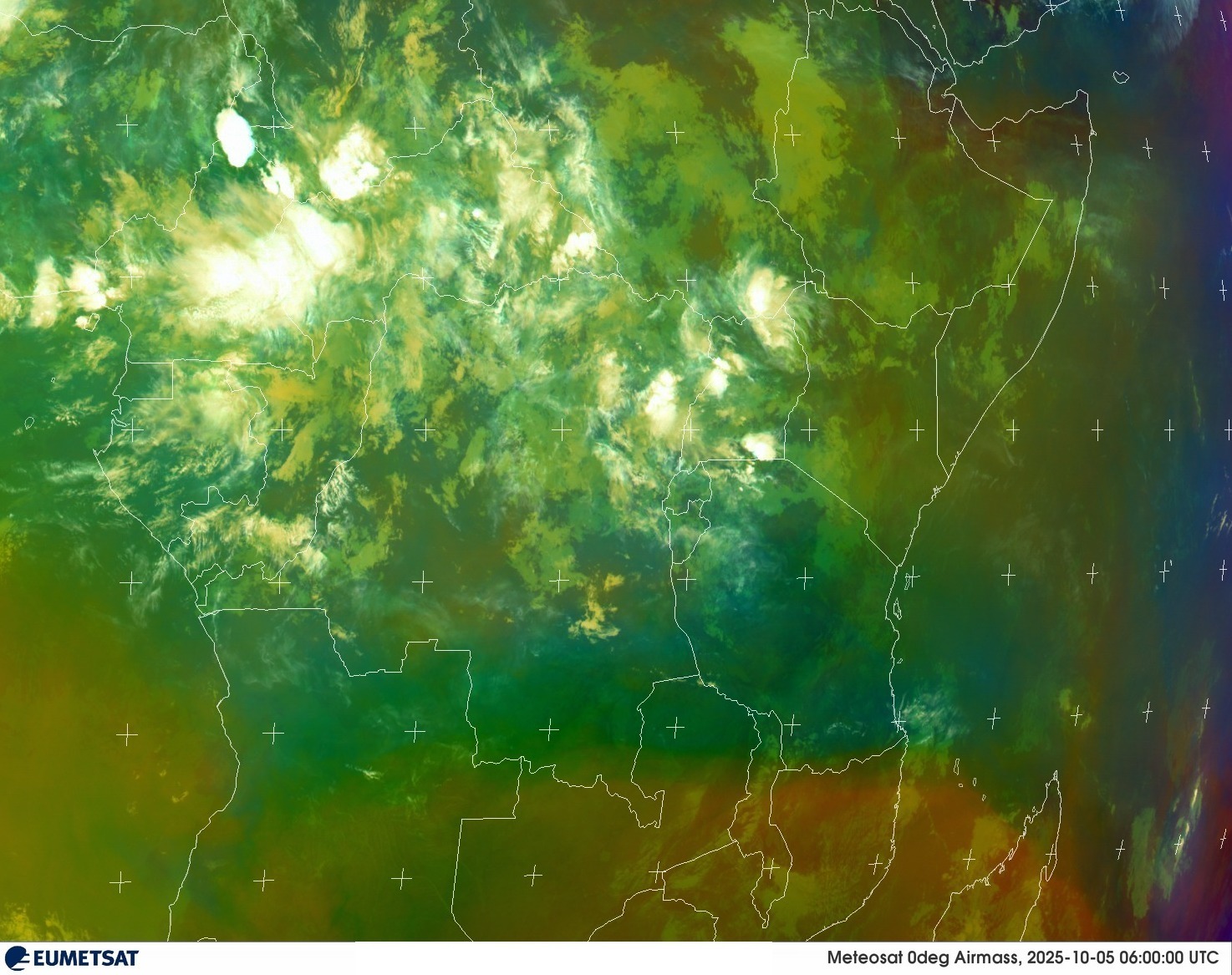 Live Satellite