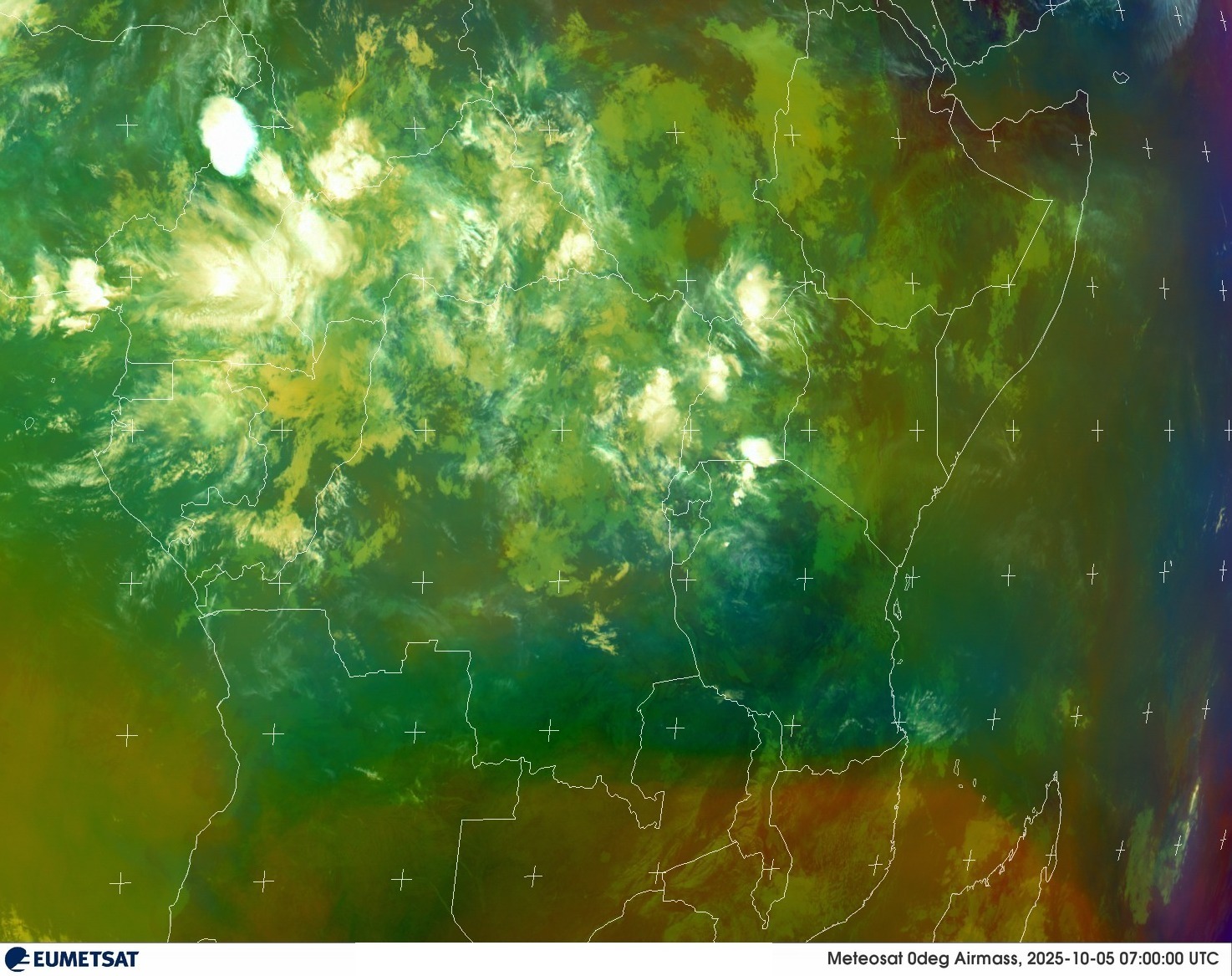 Live Satellite