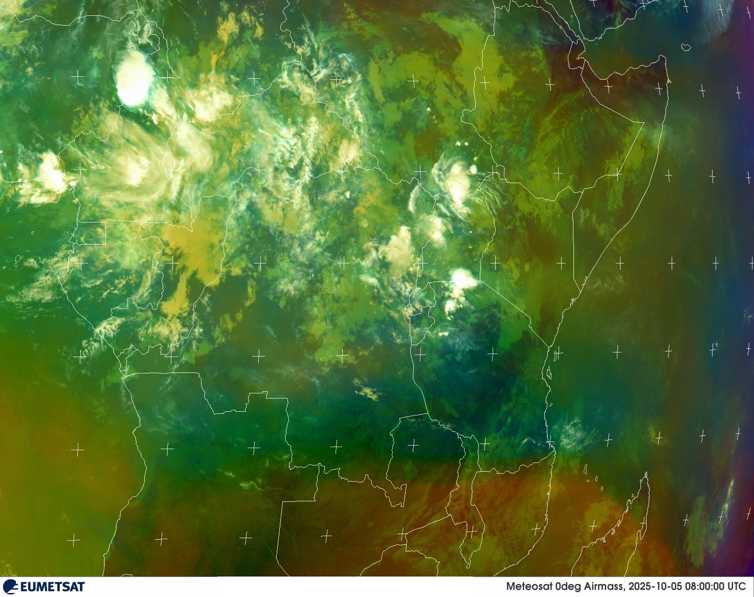 Live Satellite