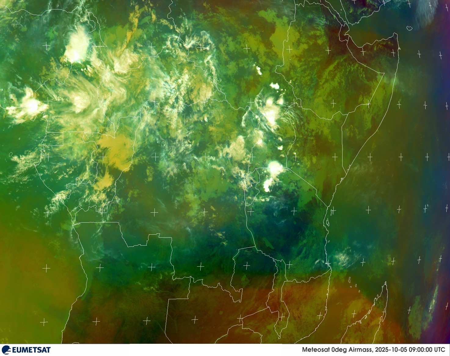 Live Satellite