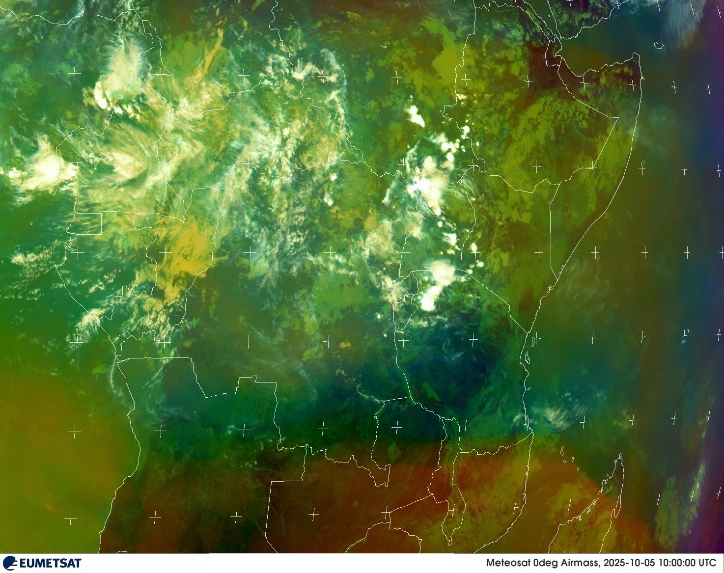 Live Satellite
