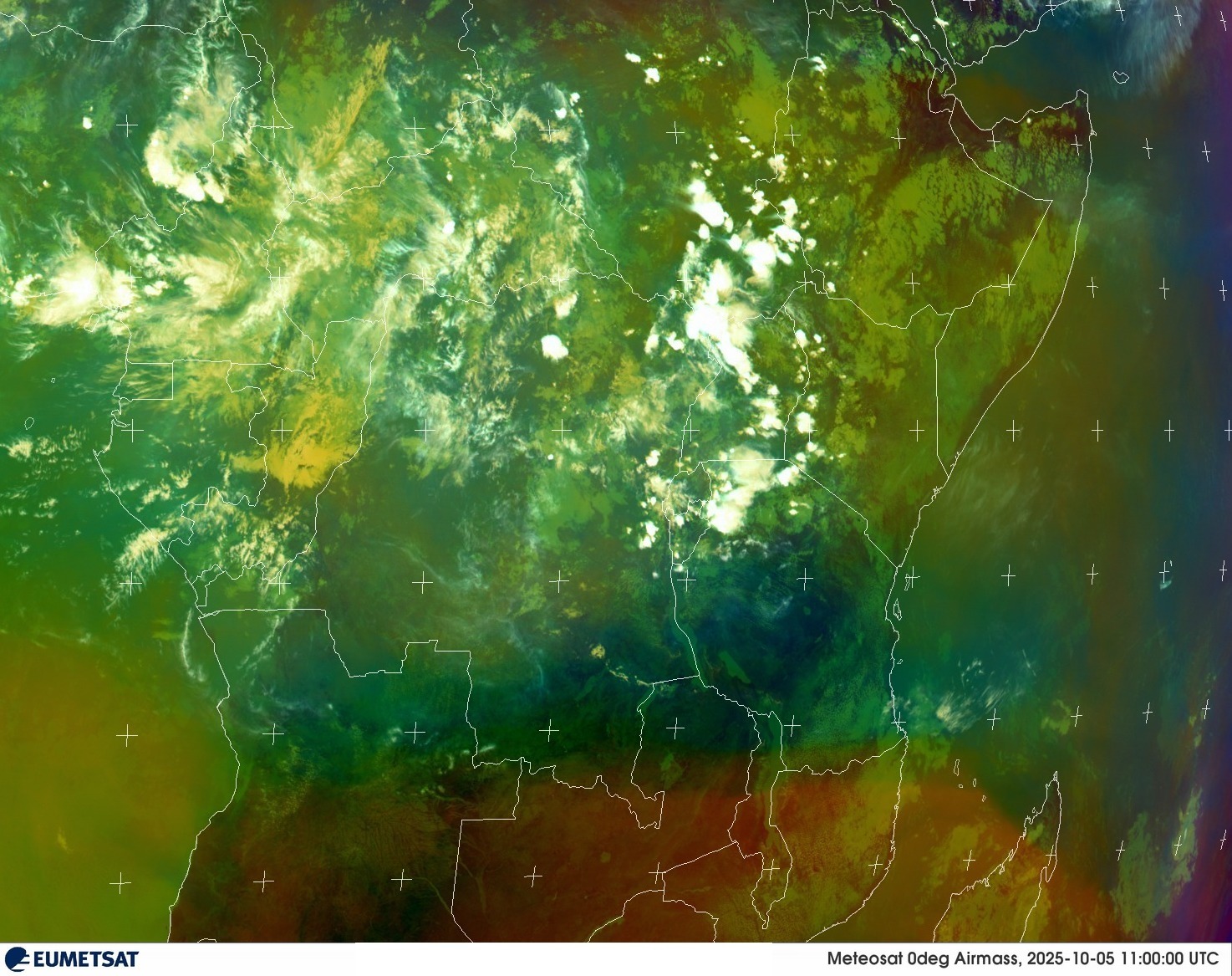 Live Satellite