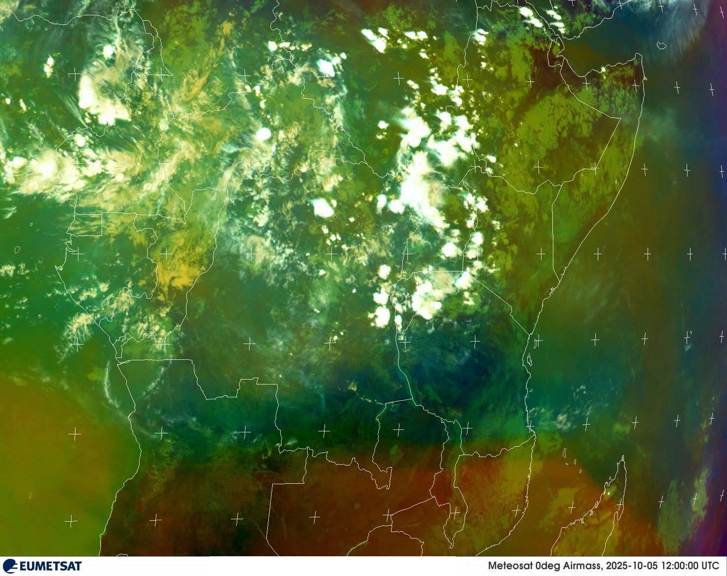 Live Satellite