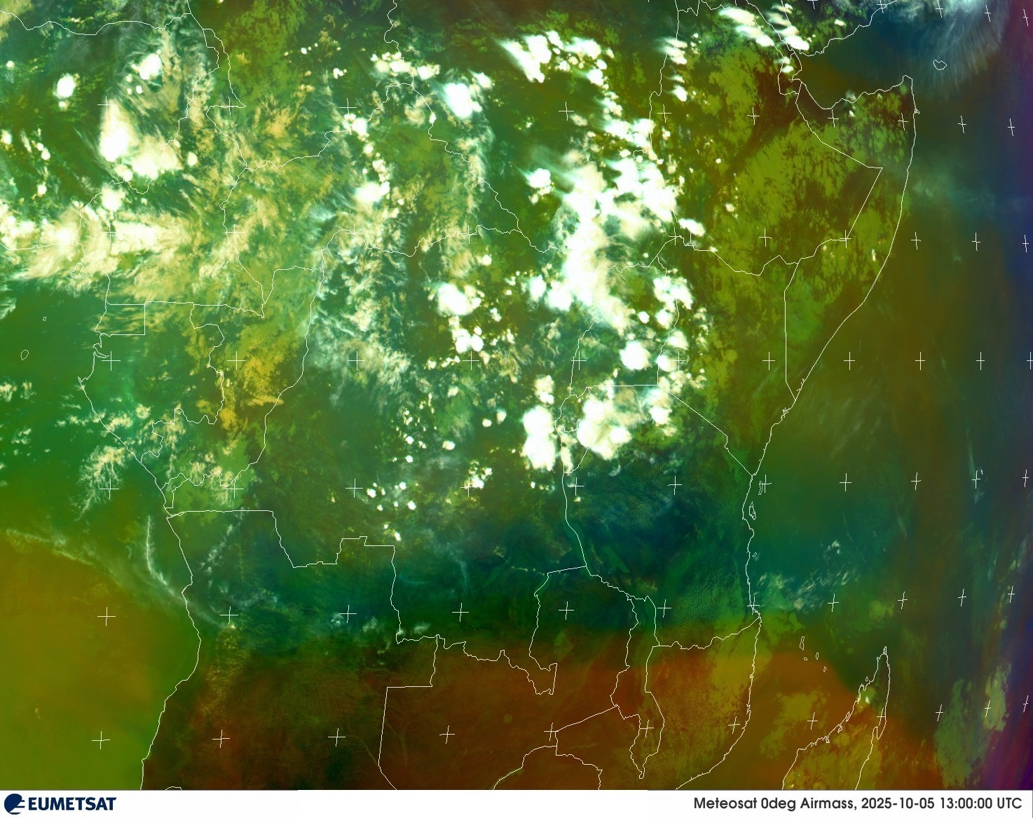 Live Satellite