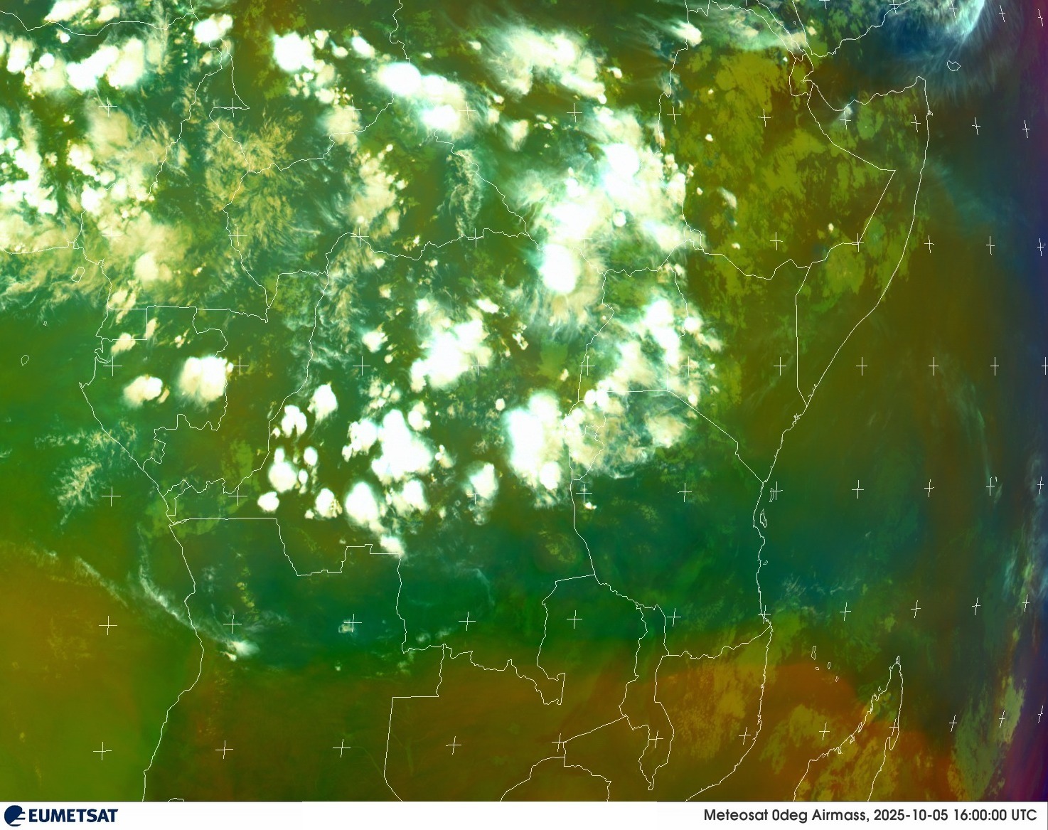 Live Satellite