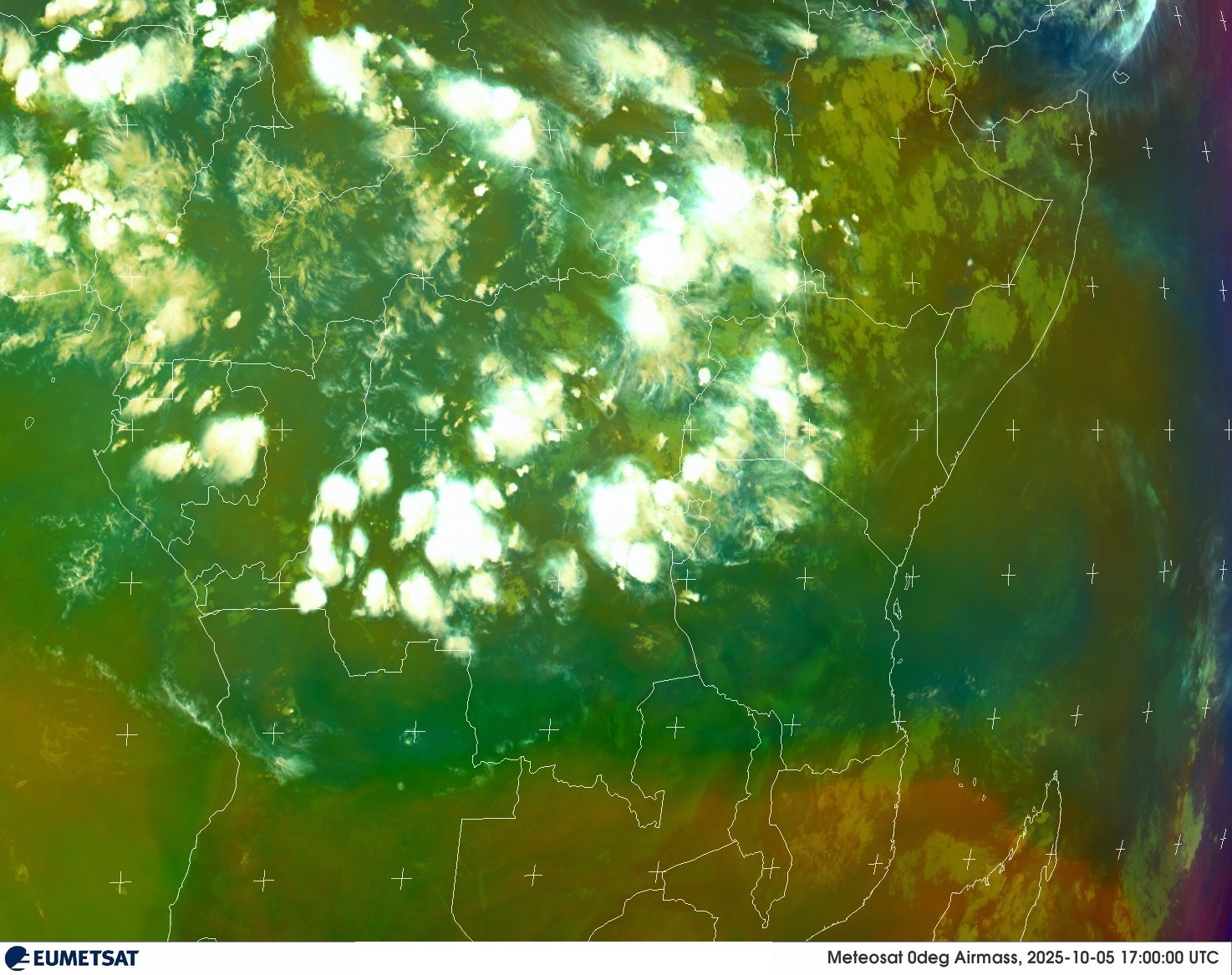Live Satellite