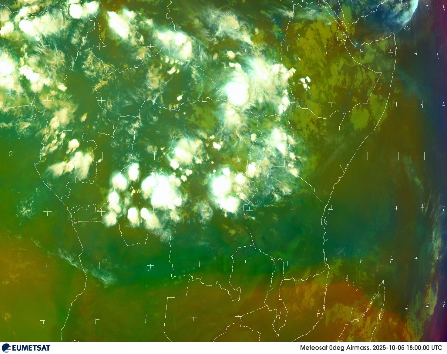 Live Satellite