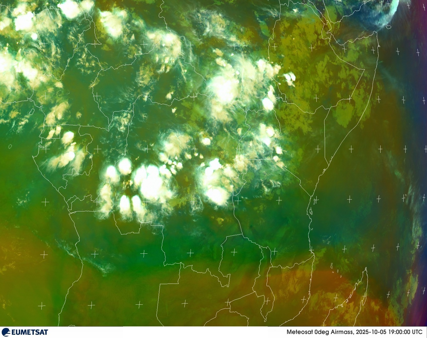 Live Satellite