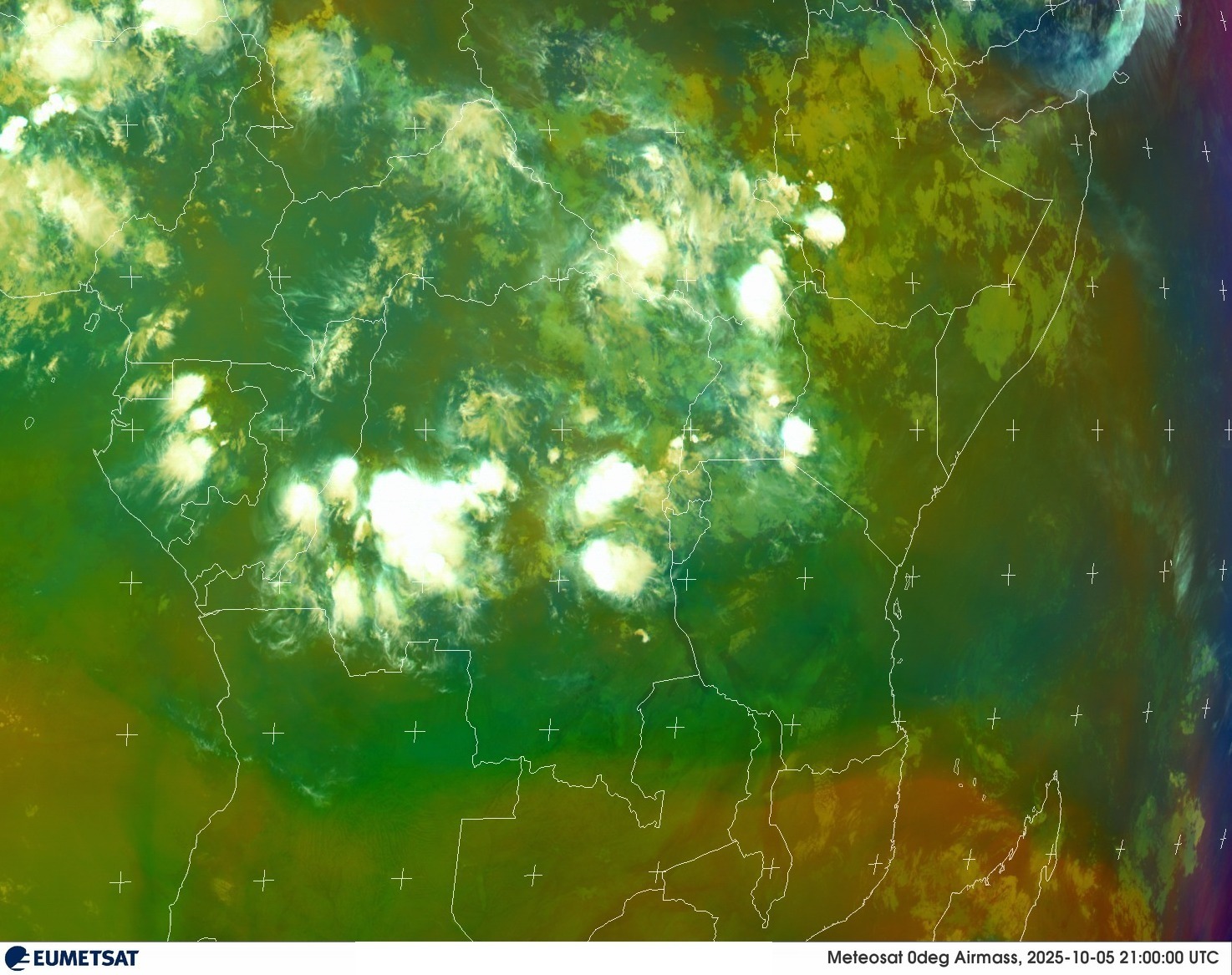 Live Satellite